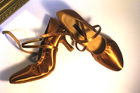 Dance Fox: женские стандарт каблук 4-5-6-7-8-9 см  [LST-010] (Сатин кедр) р.220-265
