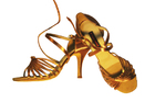 Dance Fox: женские латина каблук 5-6-7-8-9 см Шпилька/Клёш  [LLA-024] р.220-270